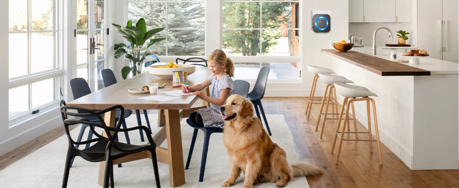 Dzwonek bezprzewodowy SURFOU 400m z 2 nadajnikami IP55 | REEVE