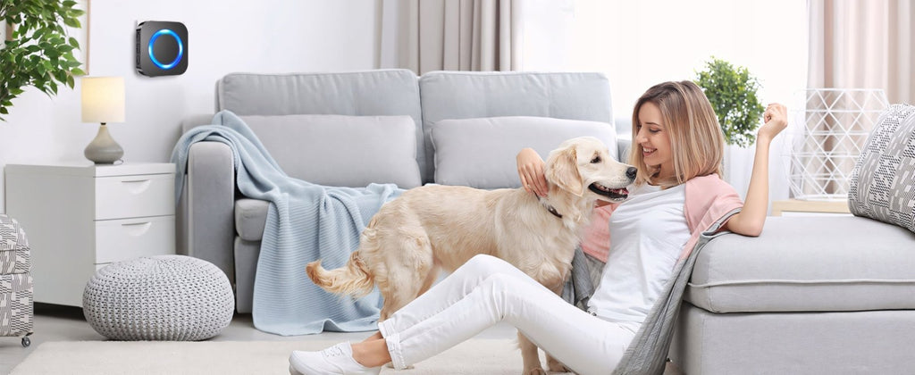 Dzwonek SURFOU 400m IP65 z 2 odbiornikami czarny | REEVE