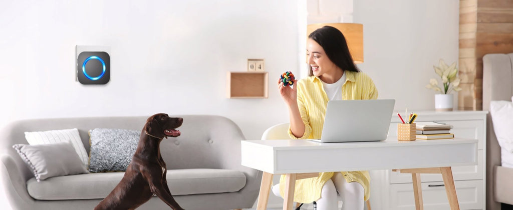 Dzwonek SURFOU 400m IP65 z 2 odbiornikami czarny | REEVE