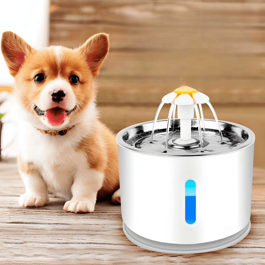 Fontanna dla kota AERB 2,4L stal nierdzewna + 3 filtry | REEVE