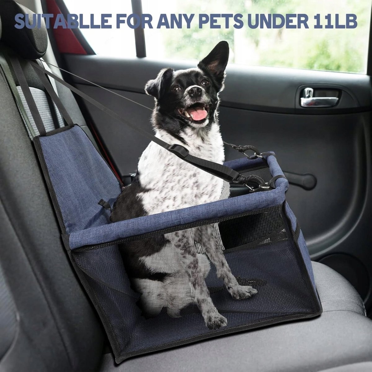 Fotelik samochodowy dla psa/kota GRAND LINE L | REEVE